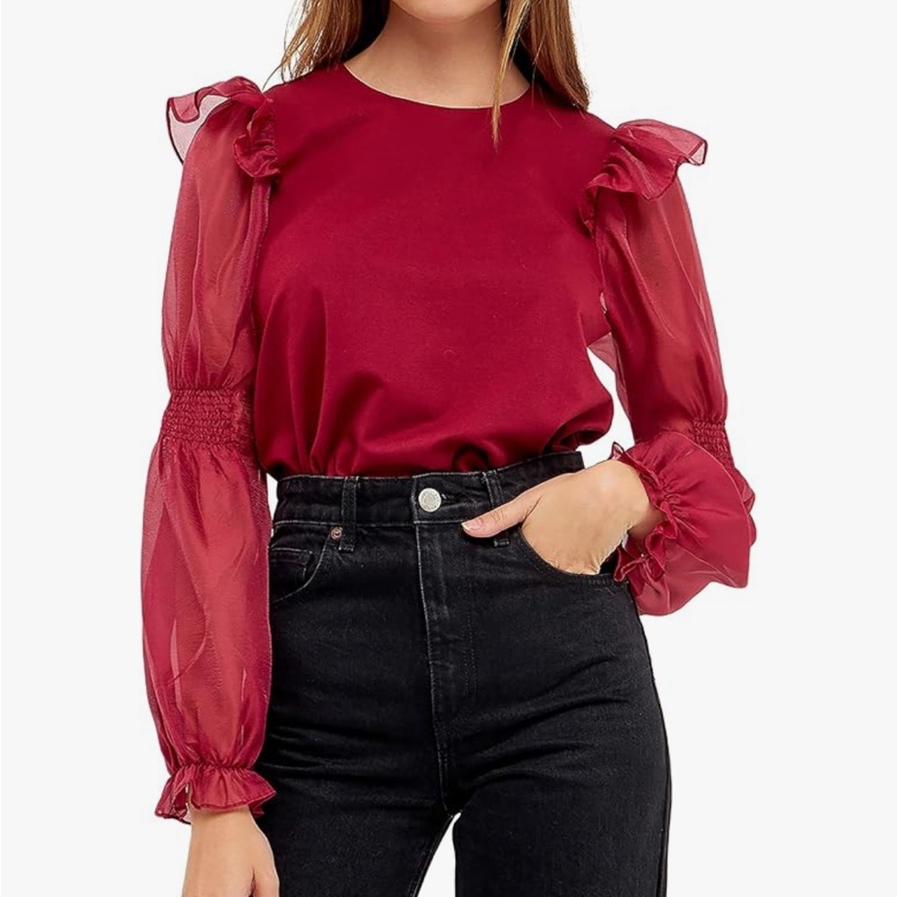 Anthropologie x English Factory Organza Mixed Smocked Detail Long Sleeve Top